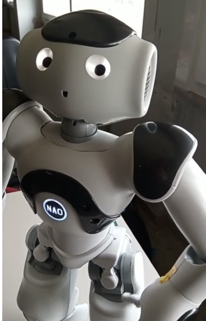 NAO22.jpg