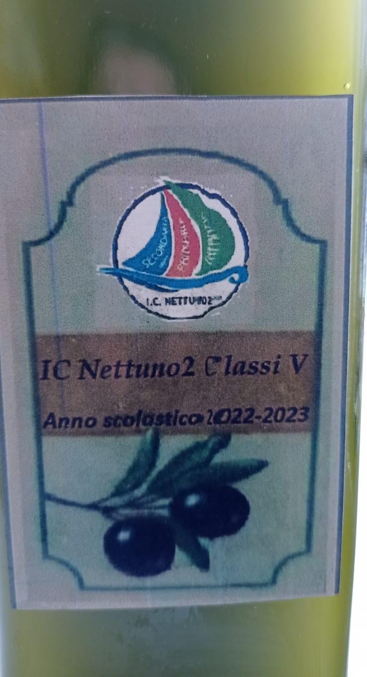 RaccoltaOlive (3).jpg