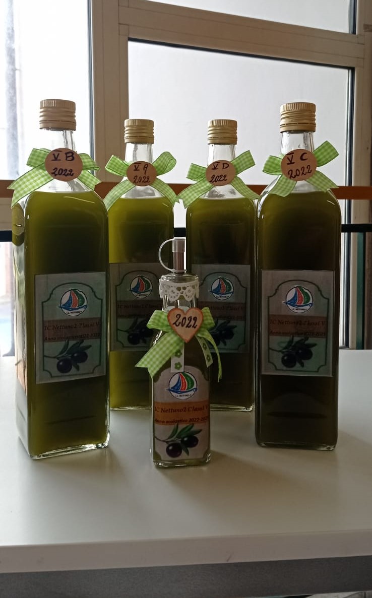 RaccoltaOlive (4).jpg