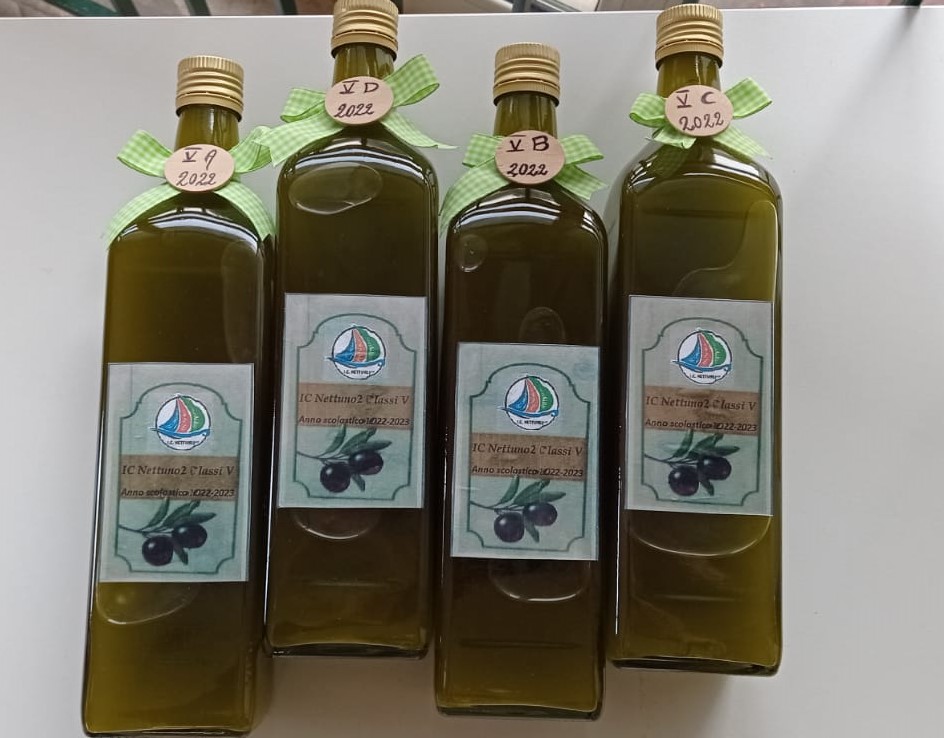 RaccoltaOlive (8).jpg
